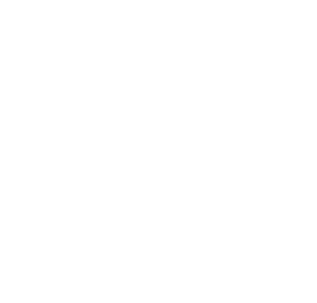 Lib