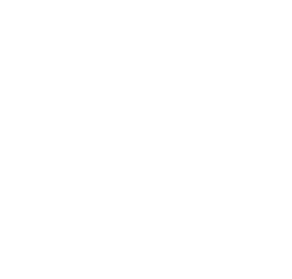 WPF