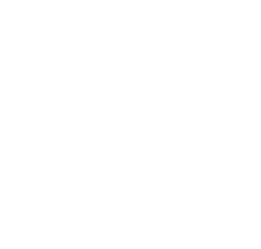 P5000